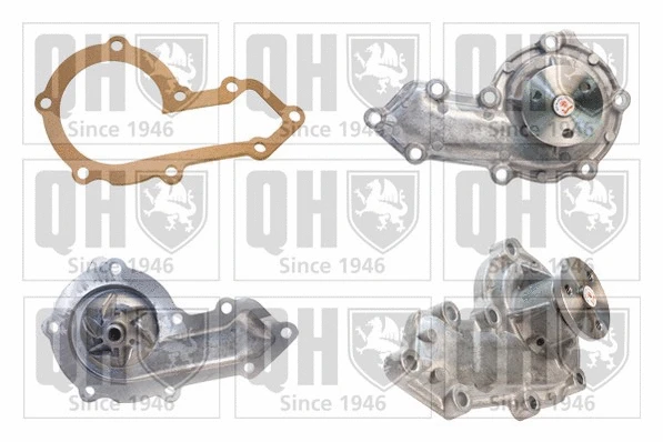 Water Pump, engine cooling (QCP3496)