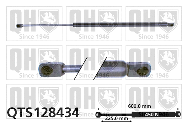 Gas Spring, boot/cargo area (QTS128434)