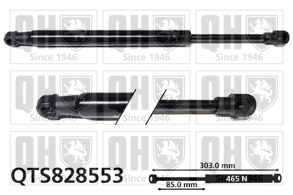 Gas Spring, bonnet (QTS828553)