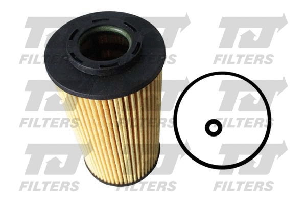Oil Filter (QFL0206)