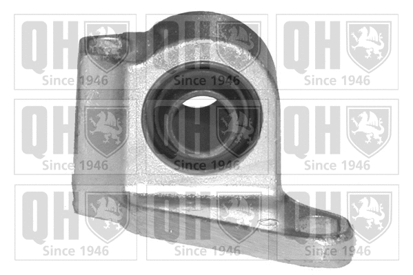 Mounting, control/trailing arm (EMS8116)