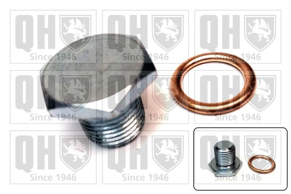 Screw Plug, oil sump (QOC1019)