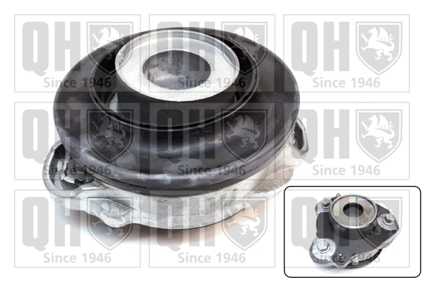 Repair Kit, suspension strut support mount (EMA4924)