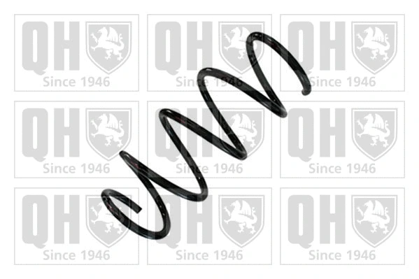 Suspension Spring (QCS9174)