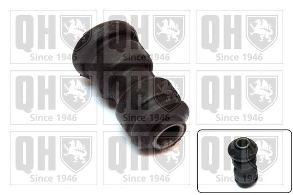 Mounting, control/trailing arm (EMS8337)