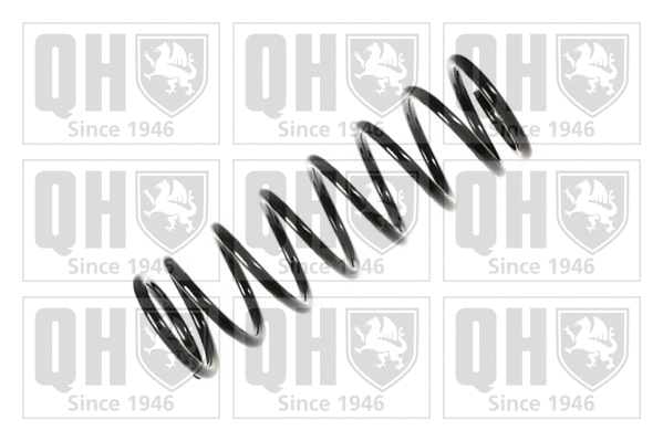 Suspension Spring (QCS5056)