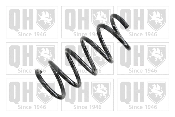 Suspension Spring (QCS5439)