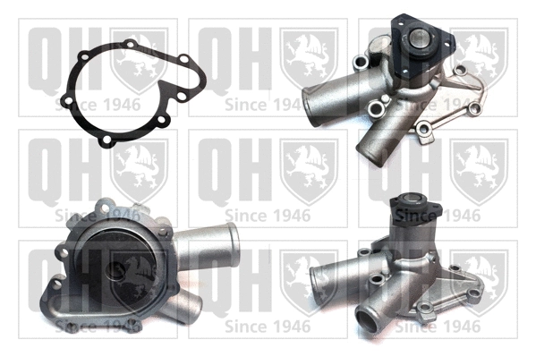 Water Pump, engine cooling (QCP2642)