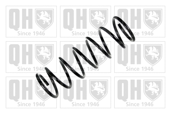 Suspension Spring (QCS5196)