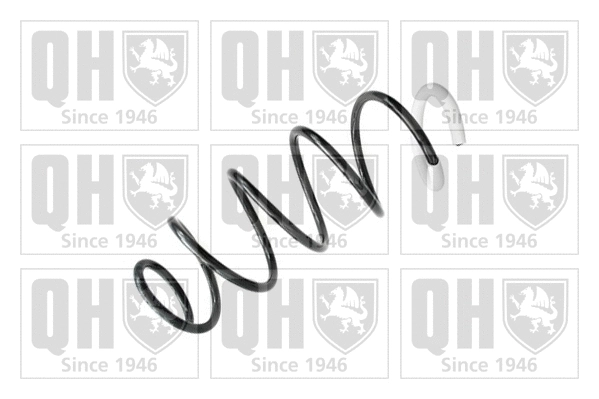 Suspension Spring (QCS6488)