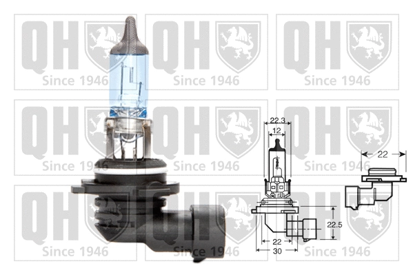 Bulb (QBL9006)