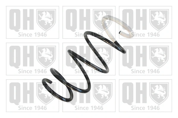 Suspension Spring (QCS8808)