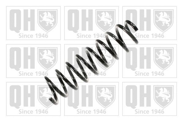 Suspension Spring (QCS8225)