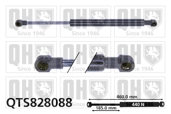 Gas Spring, boot/cargo area (QTS828088)