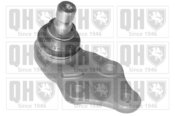 Ball Joint (QSJ1893S)