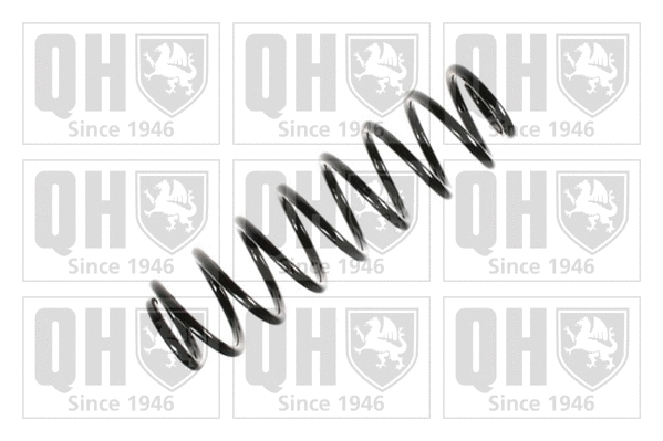 Suspension Spring (QCS6538)