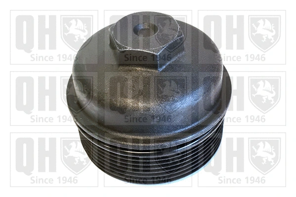 Cap, oil filter housing (QOC1049)