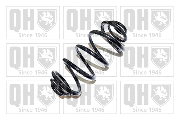 Suspension Spring (QCS5727)