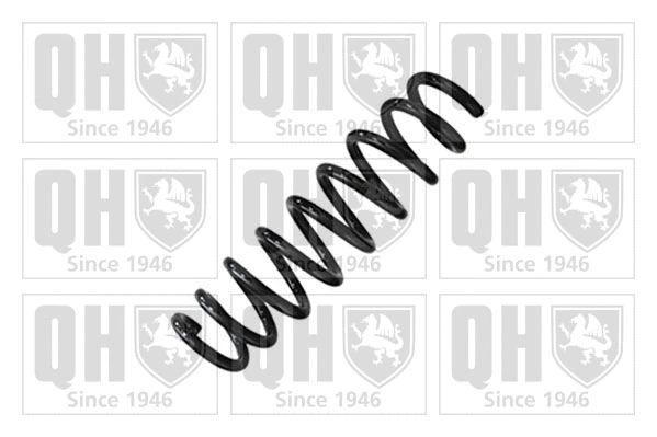 Suspension Spring (QCS9218)