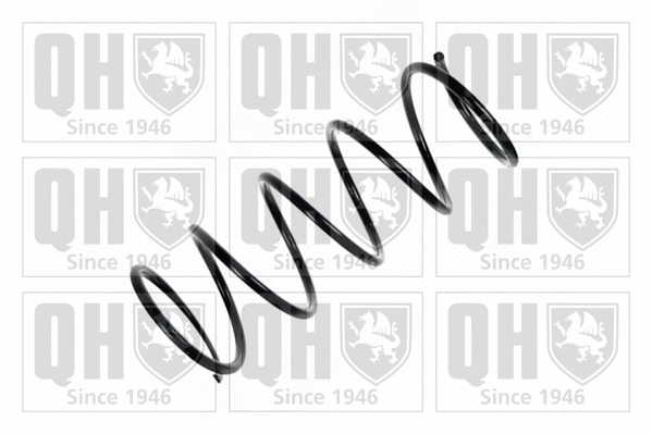 Suspension Spring (QCS5808)