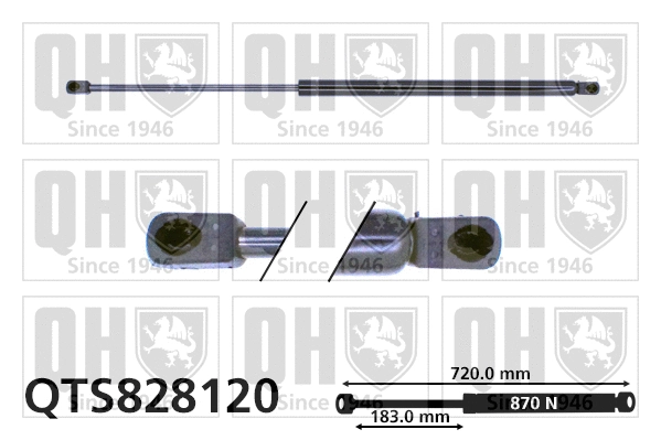 Gas Spring, boot/cargo area (QTS828120)
