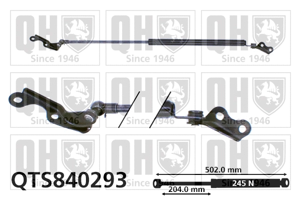 Gas Spring, boot/cargo area (QTS840293)