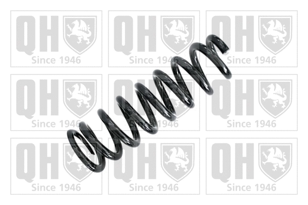 Suspension Spring (QCS7297)