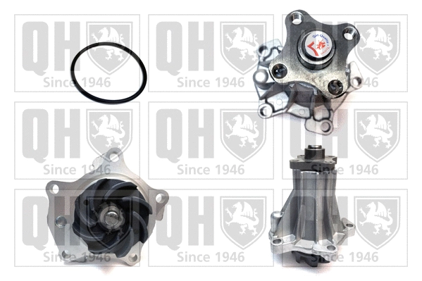Water Pump, engine cooling (QCP2934)