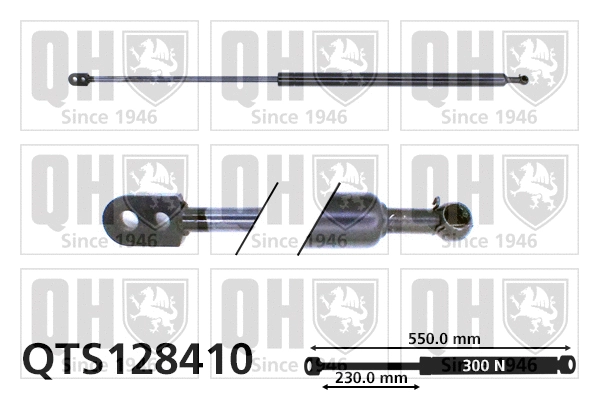 Gas Spring, boot/cargo area (QTS128410)