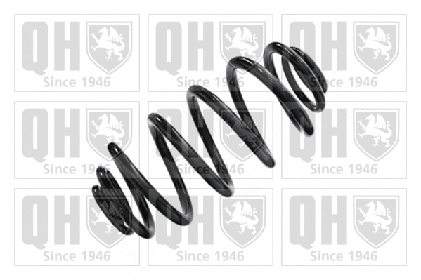 Suspension Spring (QCS5449)