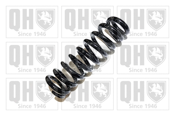 Suspension Spring (QCS6449)