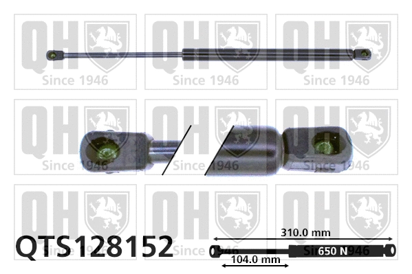 Gas Spring, boot/cargo area (QTS128152)
