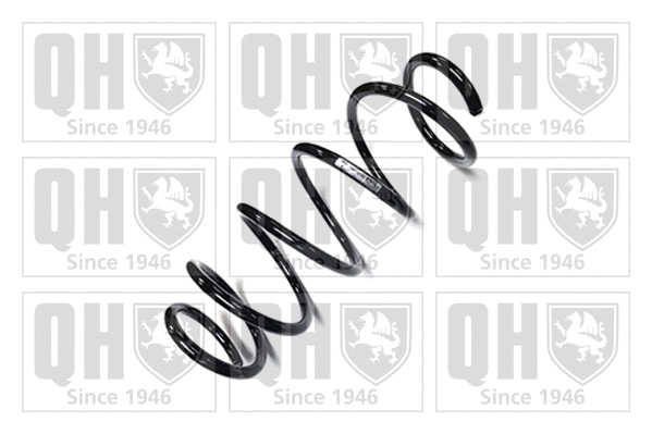 Suspension Spring (QCS7363)