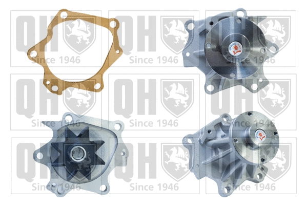Water Pump, engine cooling (QCP2918)