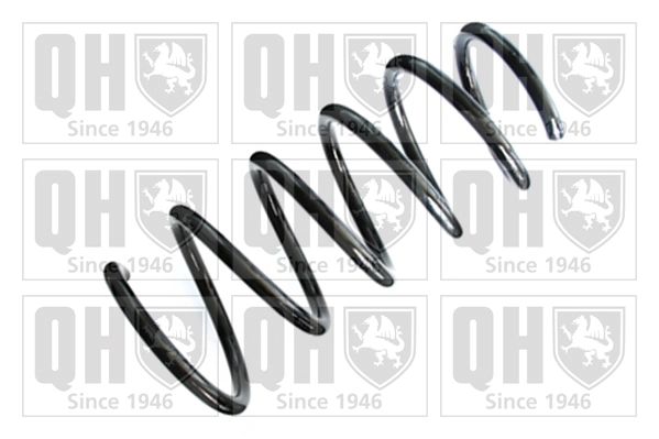 Suspension Spring (QCS8376)