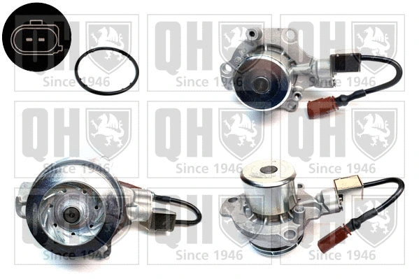 Water Pump, engine cooling (QCP3876DPS)