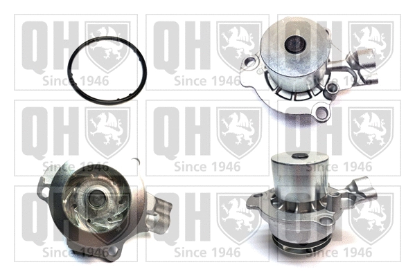 Water Pump, engine cooling (QCP3876DP)
