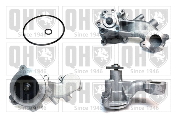 Water Pump, engine cooling (QCP3948)