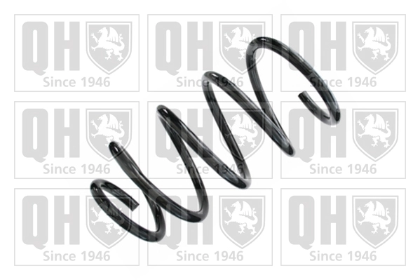 Suspension Spring (QCS8632)