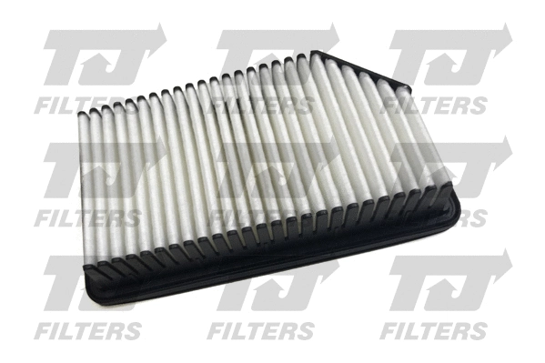 Air Filter (QFA0994)