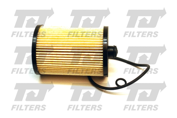 Fuel Filter (QFF0049)