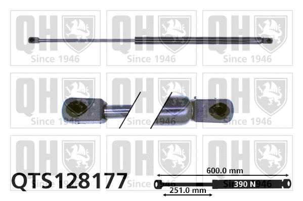Gas Spring, boot/cargo area (QTS128177)