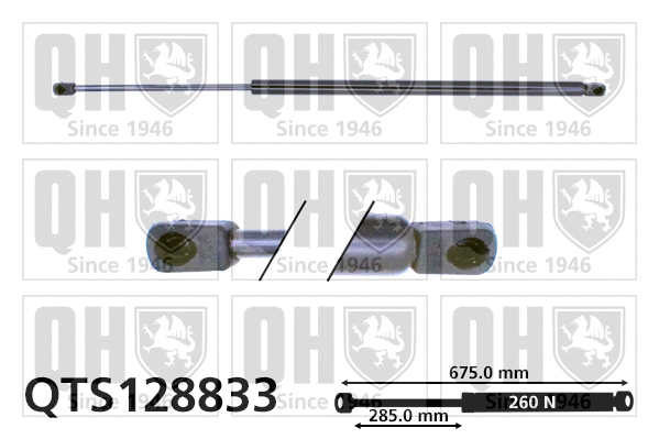 Gas Spring, bonnet (QTS128833)