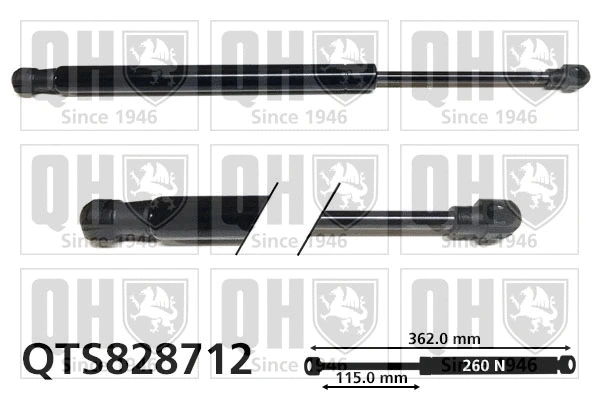 Gas Spring, boot/cargo area (QTS828712)
