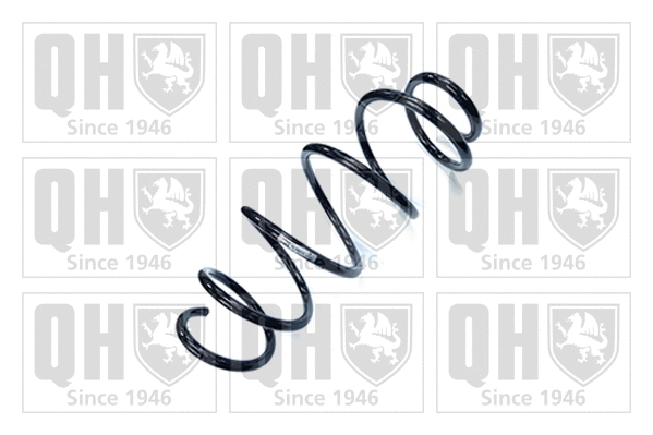Suspension Spring (QCS8913)