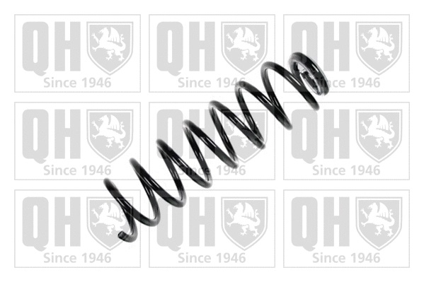 Suspension Spring (QCS5544)