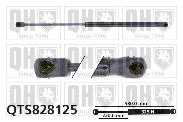Gas Spring, boot/cargo area (QTS828125)