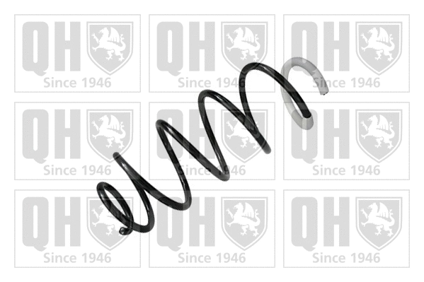 Suspension Spring (QCS6173)