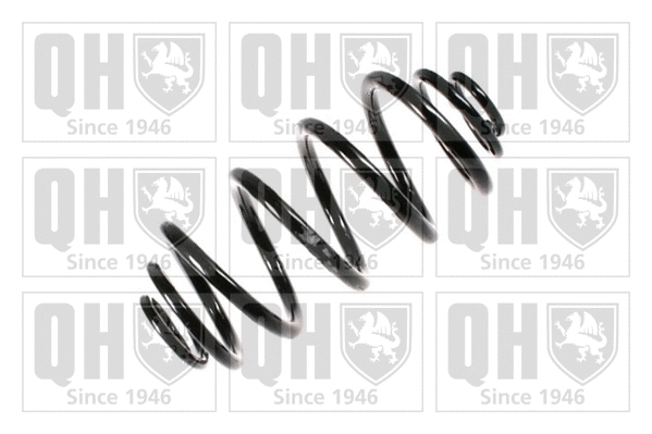 Suspension Spring (QCS6923)