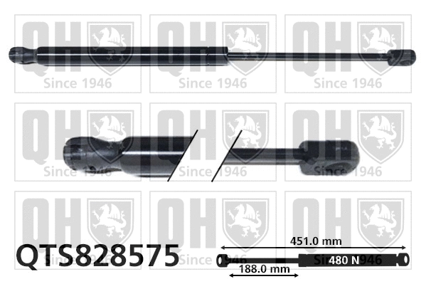 Gas Spring, boot/cargo area (QTS828575)